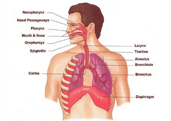 Respiratory Disorder